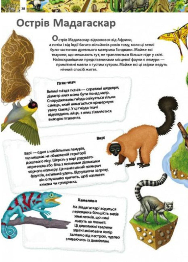 Children's encyclopedia.The amazing world of animals / Дитяча енциклопедія. Дивовижний світ тварин 9789664663226-6