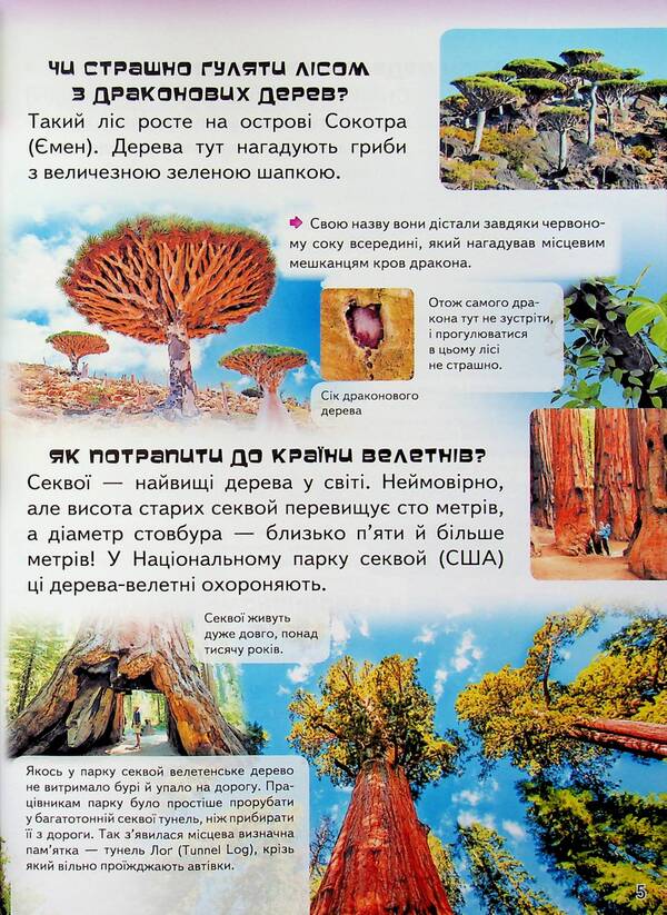 Children's encyclopedia. to questions / Дитяча енциклопедія. Запитайкам 9786178357887-6