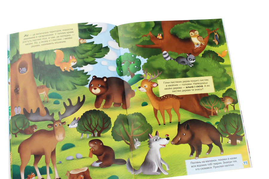 Chomochki school.Fascinating geography.117 developmental stickers / Школа чомучки. Захоплива географія. 117 розвивальних наліпок 978-966-987-319-4-6