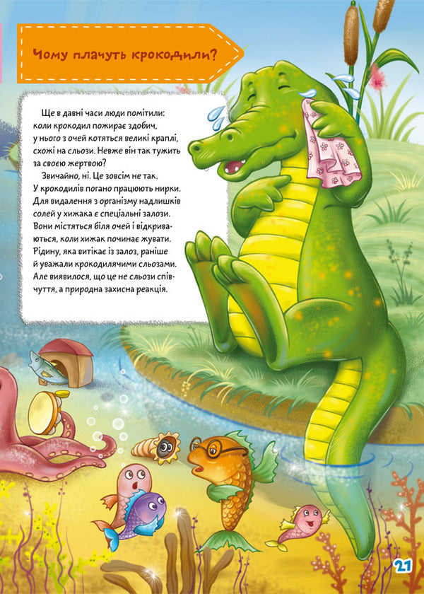 Chomochki school. As? Where? Why? 75 developmental stickers / Школа чомучки. Як? Де? Чому? 75 розвивальних наліпок 978-966-987-128-2-5