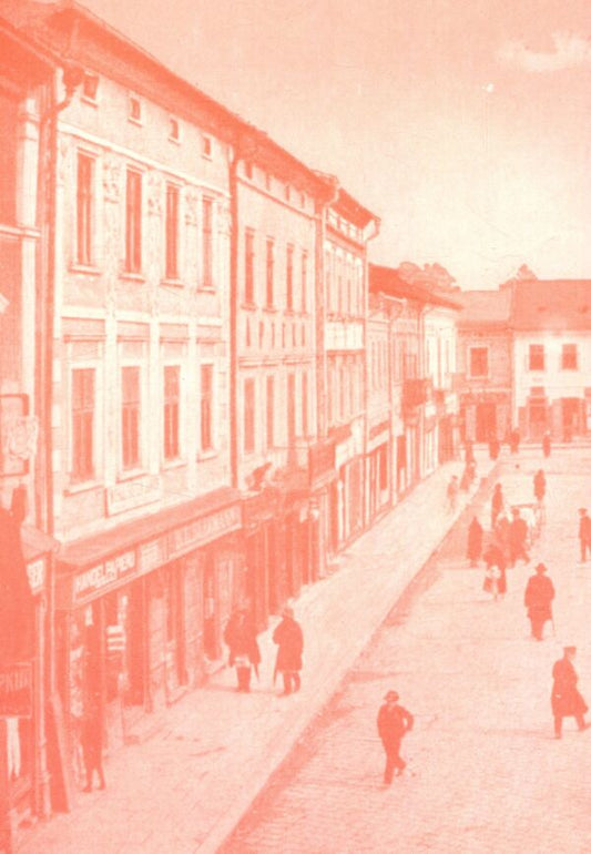 Chronicle of the branch of the Union of Ukrainian Women in Stanislavov / Хроніка філії Союзу Українок у Станиславові Амалия Рубель 978-966-668-219-5-2