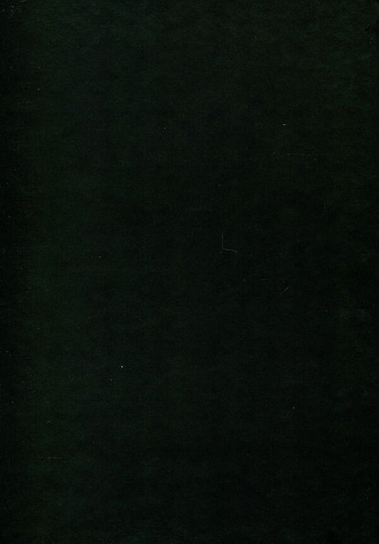 Chronotopes Of History. Studios In Honor Of Petr Kiridon's Memory / Хронотопи історії. Студії на пошану пам’яті Петра Васильовича Киридона / Author not specified 9789665217664-2