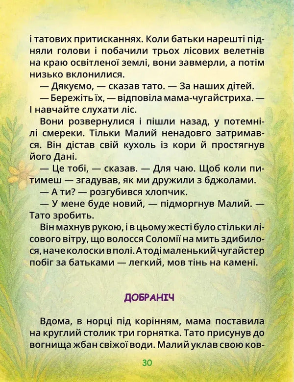 Chugaistrenya And White Vushko / Чугайстреня та біле Вушко Anna Pegakhina / Анна Пегахіна 9789669254658-6