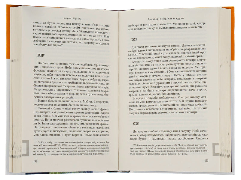 Cinnamon Shops and All Other Stories / Цинамонові крамниці та всі інші оповідання Бруно Шульц 978-617-585-034-3-6