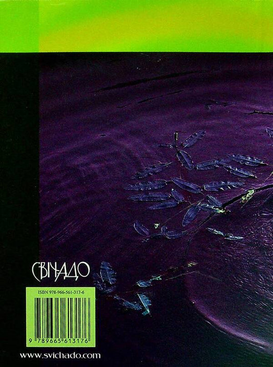 Circles on the water / Кола на воді Бруно Ферреро 9789665613176-2