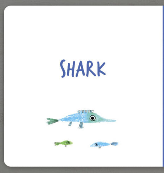 Collect the rainbow. sea animals / Collect the rainbow. Sea animals Екатерина Таберко 9786177940509-2