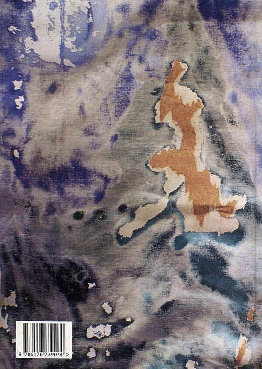 Colonel Danylo Nechay. Volume 1 / Полковник Данило Нечай. Том 1 Юлиан Радзикевич 978-617-673-907-4-2