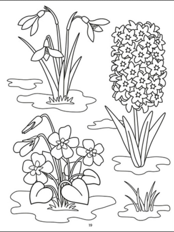 Coloring. Season / Розфарбовка. Пори року Н. Коваль 978-9-66-751245-3-5