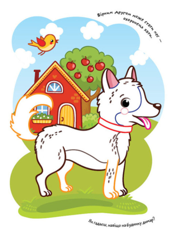 Coloring pages Poems Task. Farm / Розмальовки. Віршики. Завдання. Ферма Нани Джавахидзе 978-617-09-7723-6-6