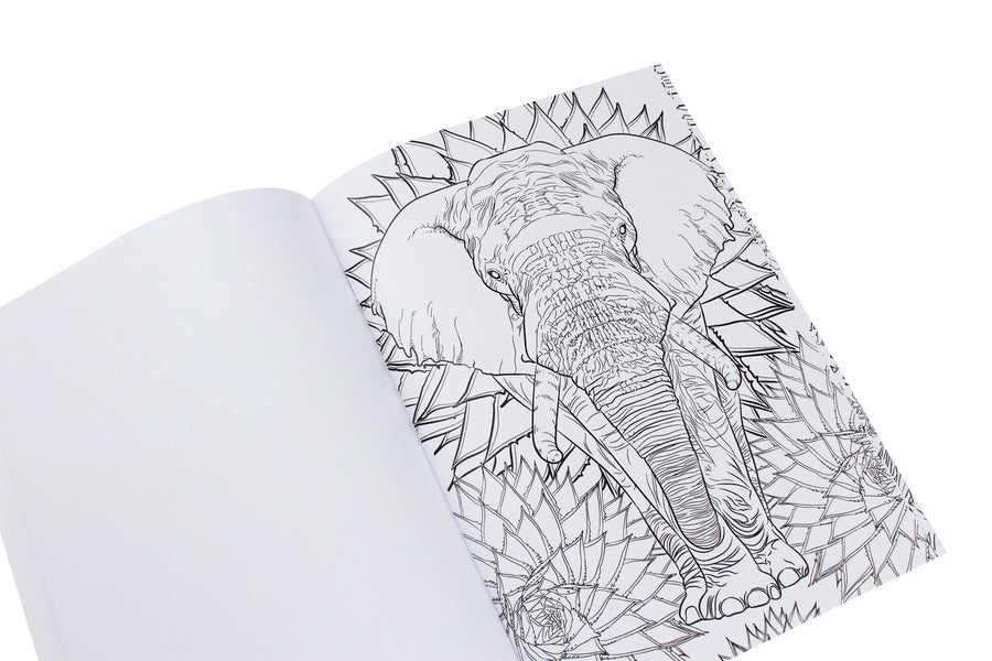 Coloring pages for adults / Розмальовки для дорослих 978-0-89000-997-0-6