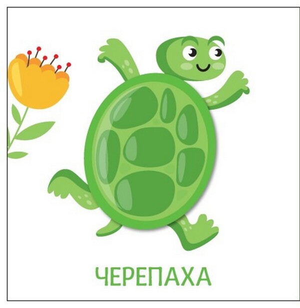 Colors / Кольори 9789667511456-6