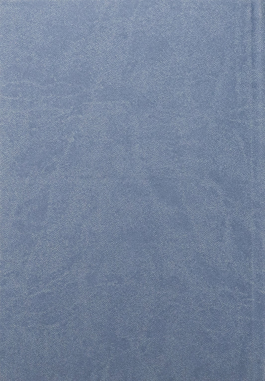 Confessional paintings of the churches of the city of Konotop of the second half of the 18th century. Volume 3. Book 2 / Сповідні розписи церков міста Конотоп другої половини XVIII ст. Том 3. Книга 2 978-617-8467-02-9-2