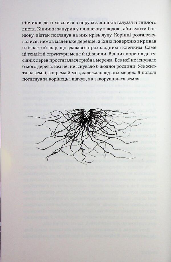 Confused Life / Заплутане життя Merlin Sheldrake / Мерлін Шелдрейк 9786178509026-6