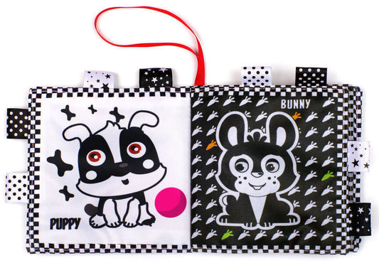 Contrasting Book 'Cat' / Author not specified 9789664404065-2