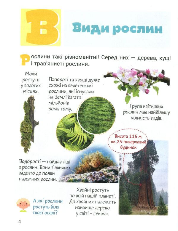 Cool alphabet. Plants / Класна абетка. Рослини Юлия Буглак 978-966-945-311-2-6