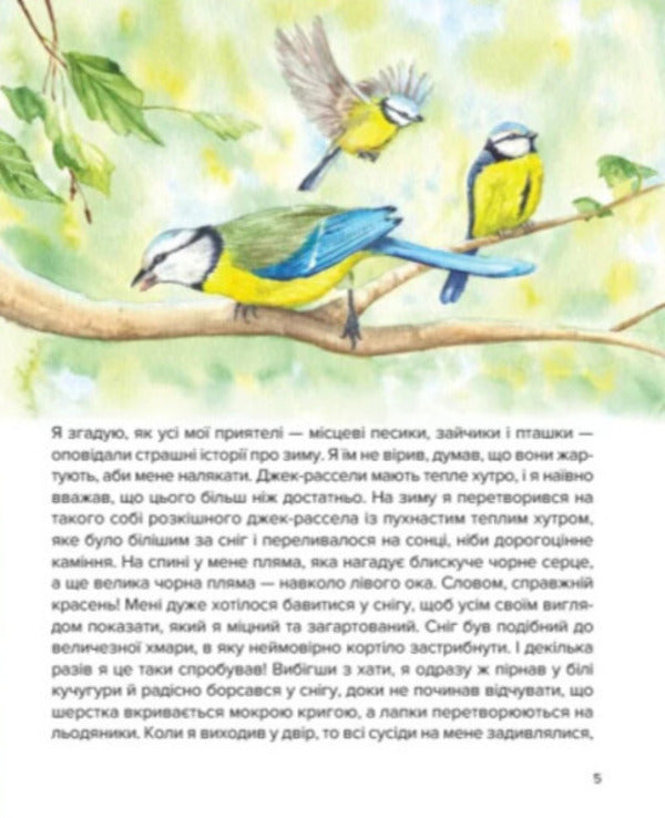 Cooper's Christmas Adventures / Різдвяні пригоди Купера Ирина Константюк 9789662793314-6