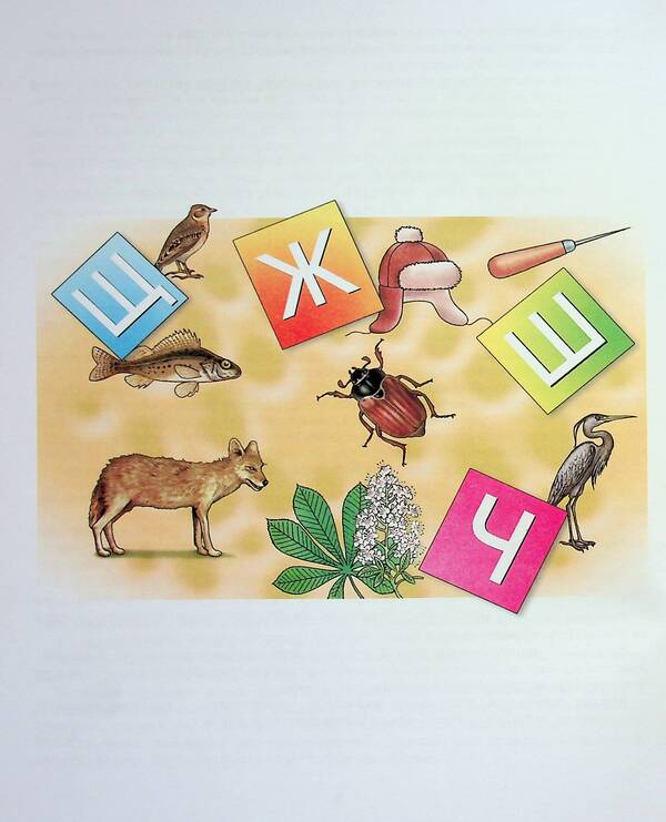 Correction of speech defects. Hissing sounds Ш, Ч, Ш, Ж / Виправлення вад мовлення. Шиплячі звуки Щ,Ч,Ш,Ж Антонина Малярчук 978-966-945-244-3-6