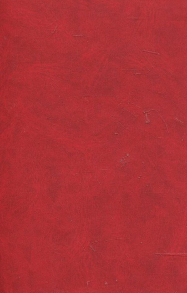 Dealing with the method / Розправа з методом Алехо Карпентьер 978-966-03-5565-1-2