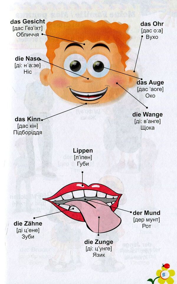 Deutsch. Dictionary in pictures. German for children / Deutsch. Словник у малюнках. Німецька для дітей Анна Калайда 978-966-498-575-5-6