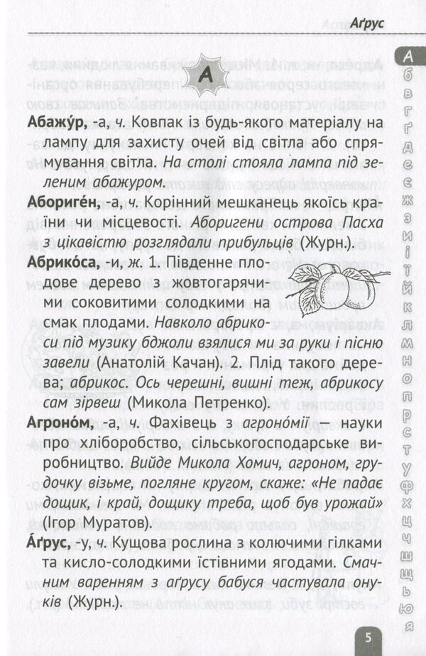 Dictionary. Elementary School / Тлумачний словник. Початкова школа 978-617-686-644-2-6
