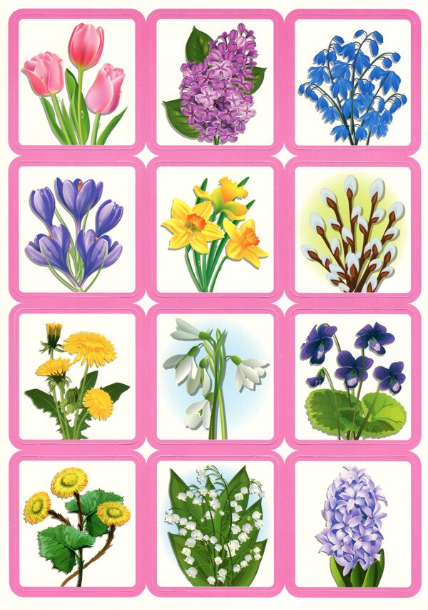 Didactic Game. Spring Flowers / Дидактична гра. Весняні квіти / Author not specified 4823076146603-4