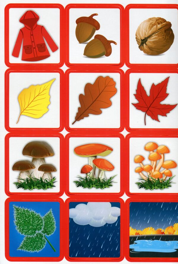 Didactic game. Autumn chains / Дидактична гра. Осінні ланцюжки 4823076147860-3
