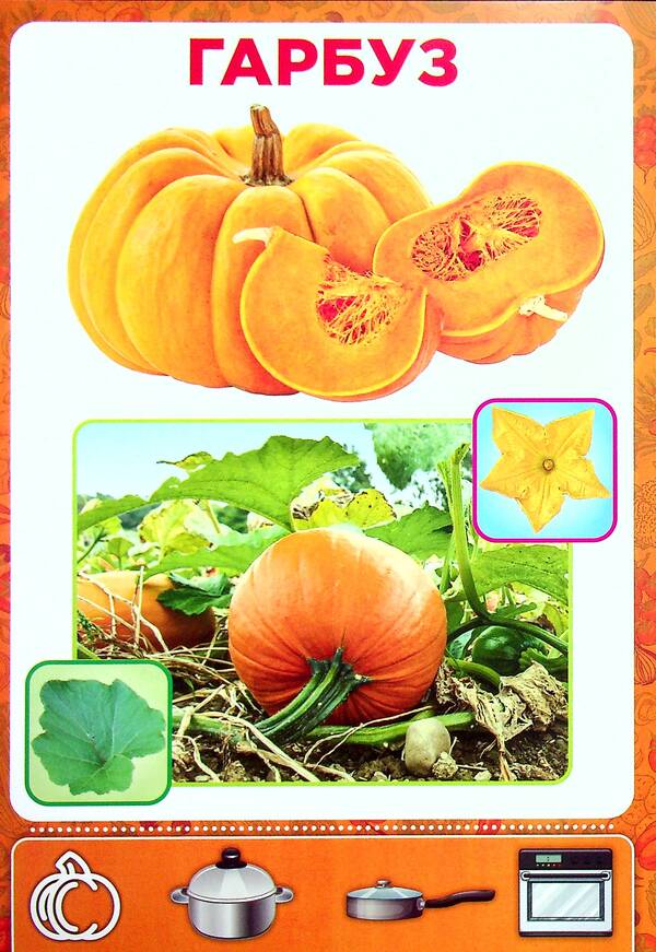Didactic material. Let's tell the children. About vegetables / Дидактичний матеріал. Розповімо дітям. Про овочі 4823076150433-6