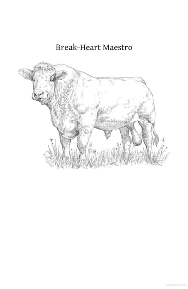 Diddly Squat. Pigs Might Fly / Diddly Squat. Pigs Might Fly Джереми Кларксон 9780241674895-6