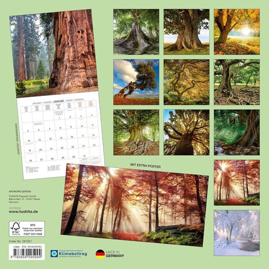 Die Kraft Der Bäume/The Power Of Trees/Le Pouvoir Des Arbres 2026 / Author not specified 9783959295994-2