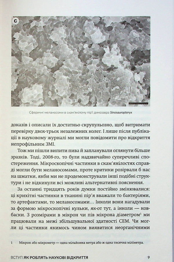 Dinosaurs A New Look - Динозаври Новий погляд Michael J Benton - Майкл Дж Бентон 9786179526732-6