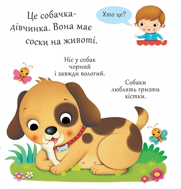 Dogs / Собаки Emily Beaumont / Емілі Бомон 9789661051385-4