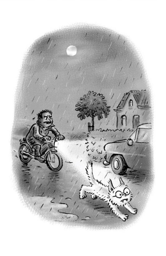 Dolphy's embrace and the full moon / Вовкулаченя Дольфі і повний місяць Пол Ван Лун 978-966-448-006-9-2