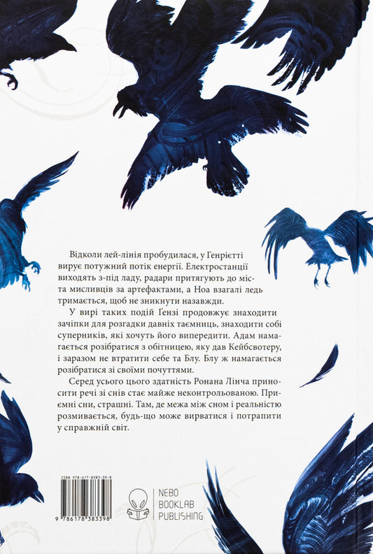 Dream Stealers Book 2 - Викрадач снв Книга 2 Maggie Stevewater - Мегг Ствотер 9786178383398-2