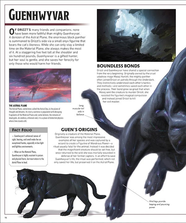 Dungeons & Dragons The Legend Of Drizzt Visual Dictionary / Author not specified 9780241409411-6