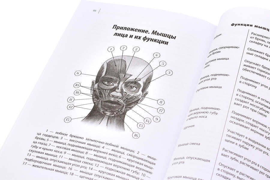 Eco-lifting face. How to look 10 years younger / Эколифтинг лица. Как выглядеть на 10 лет моложе Елена Савчук 978-617-7342-00-6-6