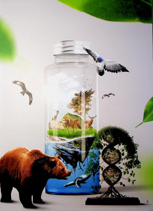 Ecology 4D / Екологія 4D 9786175492833-6