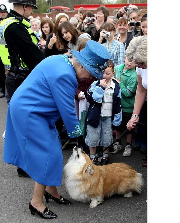 Elizabeth II: A Queen for Our Time / Elizabeth II : A Queen for Our Time Крис Джексон 9780847870714-6