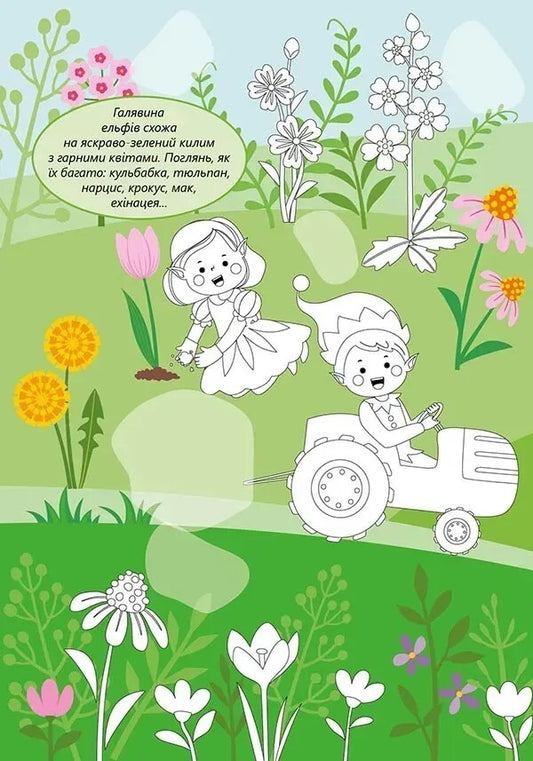 Elves (+ Stickers) / Ельфи (+ наліпки) / Author not specified 9789669892430-2