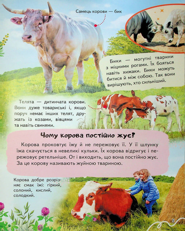 Encyclopaedia Fermat / Енциклопедія Ферма 9789664668184-6