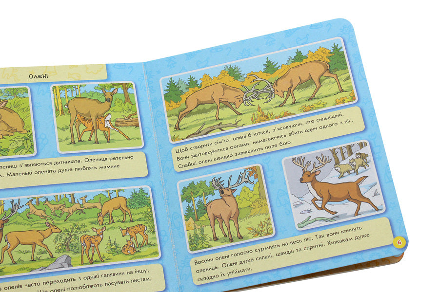 Encyclopedia in pictures. Animal world / Енциклопедія в картинках. Світ тварин 9789667494933-6