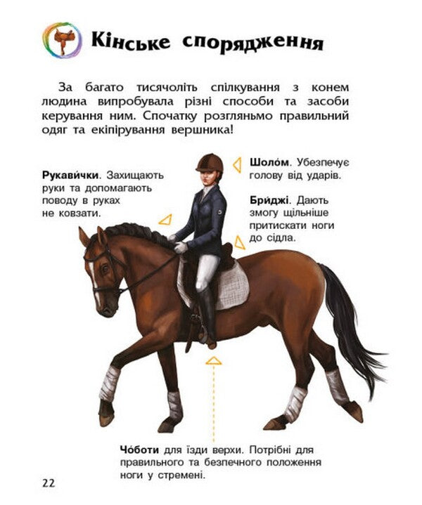 Encyclopedia of a preschooler. Horses / Енциклопедія дошкільника. Коні Юлия Каспарова 978-617-09-7781-6-6