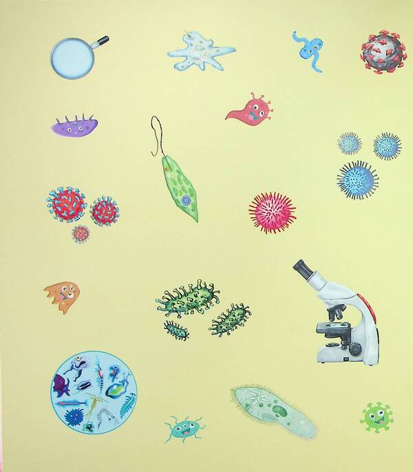 Encyclopedia of a preschooler. Microbes / Енциклопедія дошкільника. Мікроби 9786170988959-6