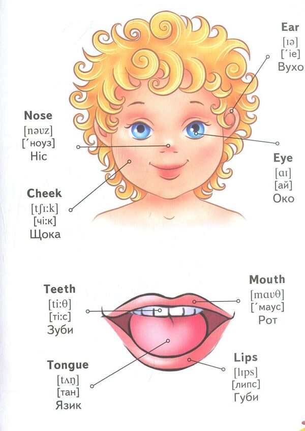 English.My first words / English. Мої перші слова 978-966-913-031-0-6