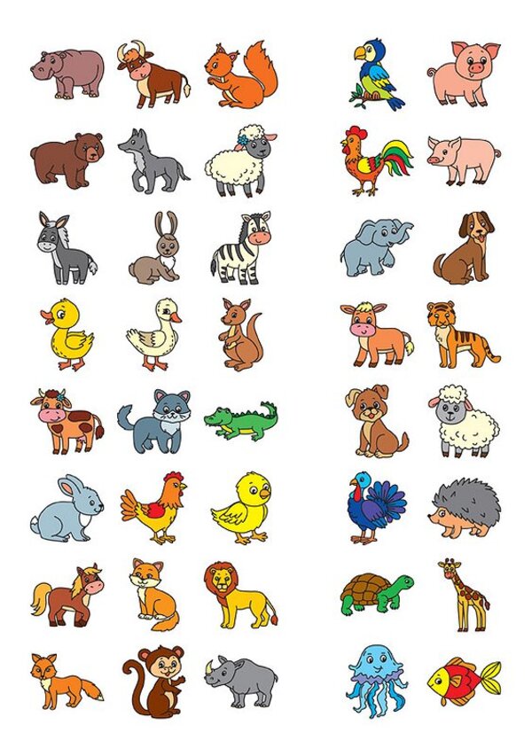 English for Kids. Wild and domestic animals. Wild and Domestic Animals (+ stickers) / English for Kids. Дикі та свійські тварини. Wild and Domestic Animals (+ наліпки) Лариса Зиновьева 978-966-284-624-9-6