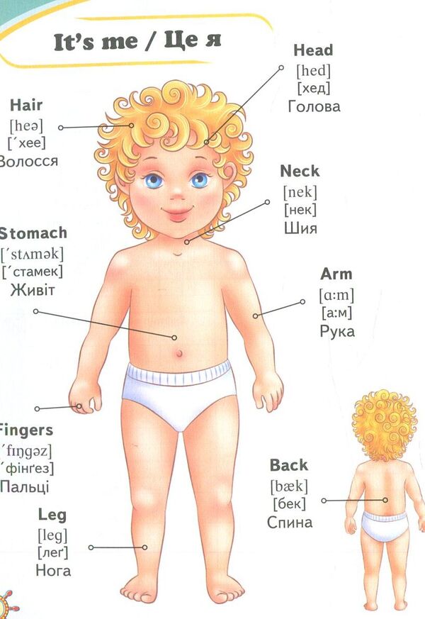 English for babies (a set of 2 books) / English для малюків (комплект із 2 книг) 978-617-7084-13-5, 978-966-913-031-0-6