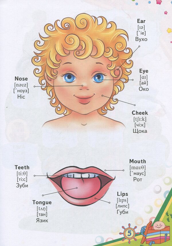 English picture dictionary for babies / Словник у малюнках English для малюків 978-617-7160-37-2-6