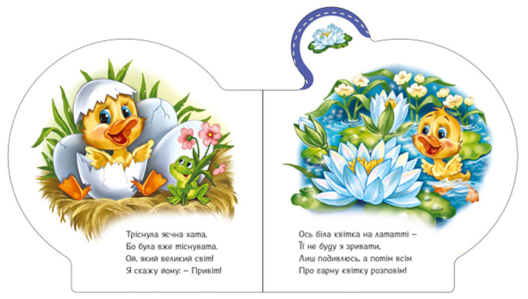 Everything about everyone.All about the duckling / Все про всіх. Все про каченятко Ирина Солнышко 9789667508531-4
