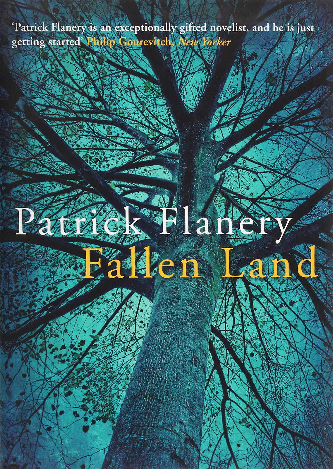 Fallen Land Patrick Flanery / Патрик Флэнери 9780857898777-1