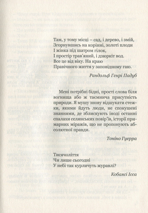 Fern Children / Діти папороті Myroslav Dochynets / Мирослав Дочинець 9789668269523-6