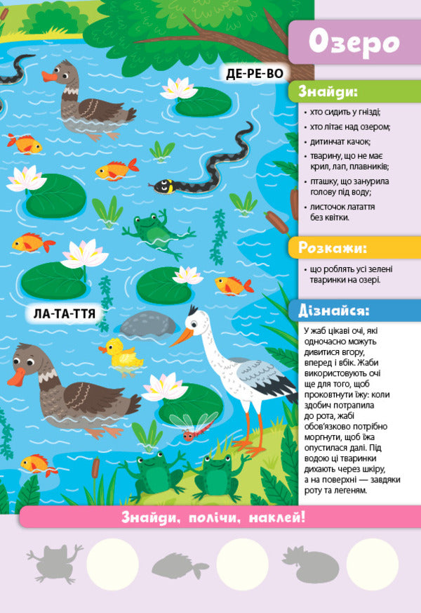 Find it!Read it!Count!Forest family (+ stickers) / Знайди! Прочитай! Полічи! Лісова родина (+ наліпки) Светлана Силич 978-617-544-137-4-3